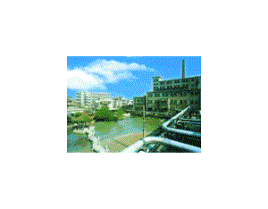 Import The main works of pesticides from chinese wholesale supplier and manufacturer