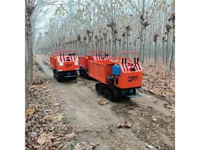 Import The new pure electric small crawler transporter 1 ton agricultural crawler truck from chinese wholesale supplier and manufacturer