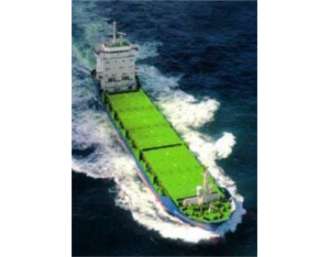 Import The ship from chinese wholesale supplier and manufacturer