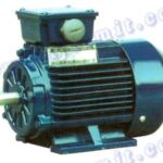 Import THREE PHASE INDUCTION MOTORS from chinese wholesale supplier and manufacturer