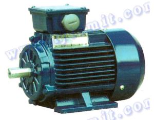 Import THREE PHASE INDUCTION MOTORS from chinese wholesale supplier and manufacturer