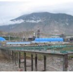Import Tibet high day 2000 t/d from chinese wholesale supplier and manufacturer