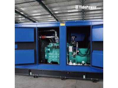 Import Tide Power Gas Generator with Canopy from chinese wholesale supplier and manufacturer