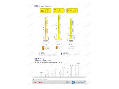 Import TL7022 Tower Crane from chinese wholesale supplier and manufacturer