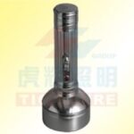 Import Torch & Flashlight from chinese wholesale supplier and manufacturer