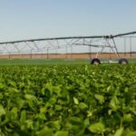 Import Towable Center Pivot from chinese wholesale supplier and manufacturer