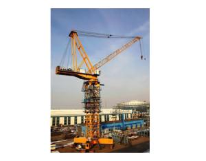Import Tower Crane-FZQ2520 from chinese wholesale supplier and manufacturer