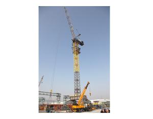 Import Tower Crane-FZQ800D from chinese wholesale supplier and manufacturer