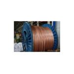 Import Transparent acoustics wire from chinese wholesale supplier and manufacturer