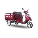 Import Tricycle from chinese wholesale supplier and manufacturer