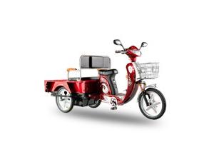 Import Tricycle from chinese wholesale supplier and manufacturer