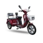 Import Tricycle from chinese wholesale supplier and manufacturer