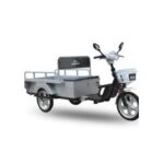 Import Tricycle from chinese wholesale supplier and manufacturer