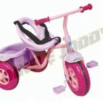 Import Tricycle — T-J100-1 from chinese wholesale supplier and manufacturer