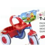 Import Tricycle — T-J100-2 from chinese wholesale supplier and manufacturer