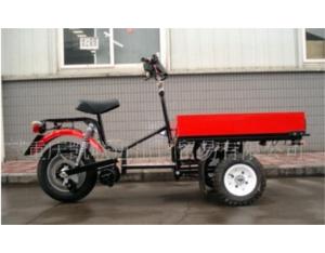 Import Tricycle Electrical Motorcycle from chinese wholesale supplier and manufacturer