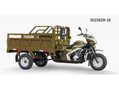 Import Tricycle HJ250ZH-10 from chinese wholesale supplier and manufacturer