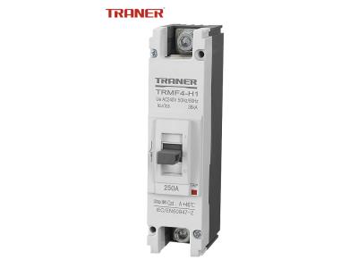 Import TRMF4 250A Single Phase Moulded Case Circuit Breaker, LS Design MCCB from chinese wholesale supplier and manufacturer