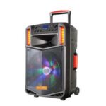 Import Trolley Speaker CAD-T15FS from chinese wholesale supplier and manufacturer