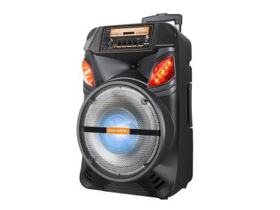 Import Trolley Speaker HA-12D from chinese wholesale supplier and manufacturer