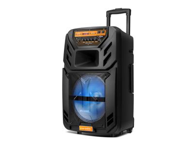 Import Trolley Speaker OP-12D from chinese wholesale supplier and manufacturer