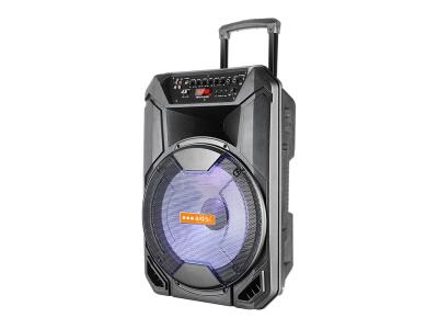 Import Trolley Speaker TBN-15C from chinese wholesale supplier and manufacturer