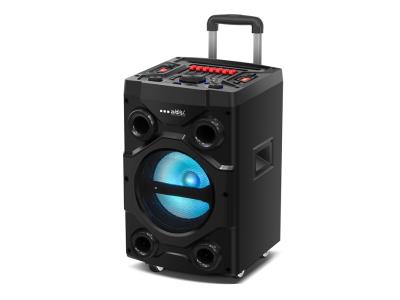 Import Trolley Speaker TBV-10D from chinese wholesale supplier and manufacturer