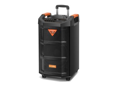 Import Trolley Speaker TC-10D from chinese wholesale supplier and manufacturer