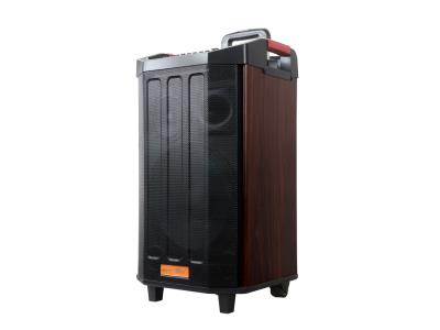 Import Trolley Speaker TC-1205F PRO from chinese wholesale supplier and manufacturer