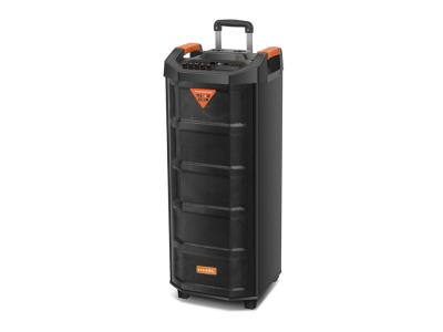 Import Trolley Speaker TC-208F from chinese wholesale supplier and manufacturer