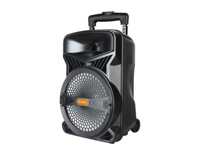Import Trolley Speaker TCJ-12A from chinese wholesale supplier and manufacturer