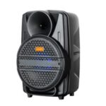 Import Trolley Speaker TCL-08AP from chinese wholesale supplier and manufacturer