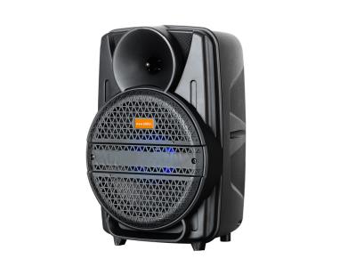 Import Trolley Speaker TCL-08AP from chinese wholesale supplier and manufacturer