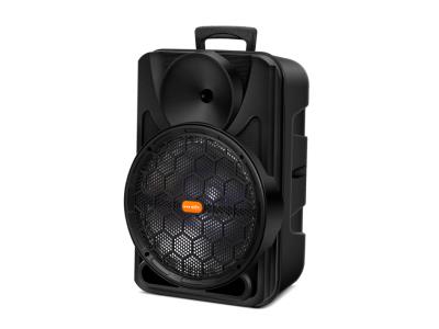 Import Trolley Speaker TCL-12AP from chinese wholesale supplier and manufacturer
