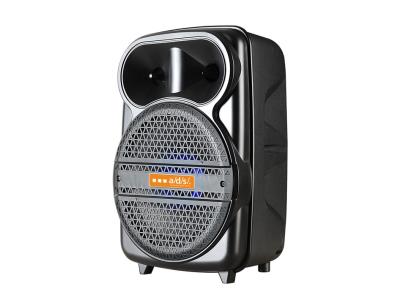Import Trolley Speaker TCM-08AP from chinese wholesale supplier and manufacturer