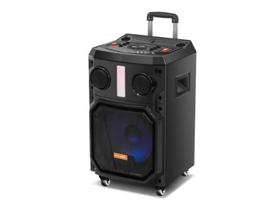 Import Trolley Speaker TD-10F from chinese wholesale supplier and manufacturer