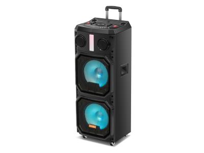 Import Trolley Speaker TD-210F from chinese wholesale supplier and manufacturer