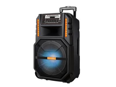 Import Trolley Speaker TDF-12D from chinese wholesale supplier and manufacturer