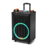 Import Trolley Speaker TEI-12D from chinese wholesale supplier and manufacturer