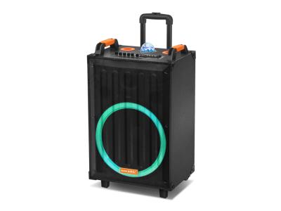 Import Trolley Speaker TEI-15D from chinese wholesale supplier and manufacturer