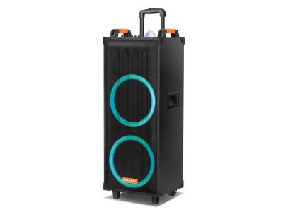 Import Trolley Speaker TEI-212F from chinese wholesale supplier and manufacturer