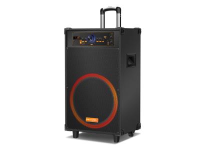 Import Trolley Speaker TEJ-15F from chinese wholesale supplier and manufacturer