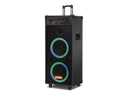 Import Trolley Speaker TEJ-210F from chinese wholesale supplier and manufacturer