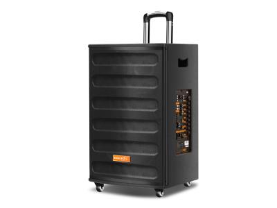 Import Trolley Speaker TI-15F from chinese wholesale supplier and manufacturer
