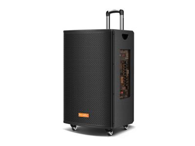 Import Trolley Speaker TJ-15F from chinese wholesale supplier and manufacturer
