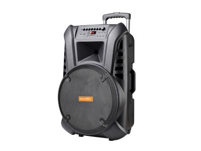 Import Trolley Speaker TN-15F from chinese wholesale supplier and manufacturer