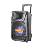Import Trolley Speaker TW08BS from chinese wholesale supplier and manufacturer