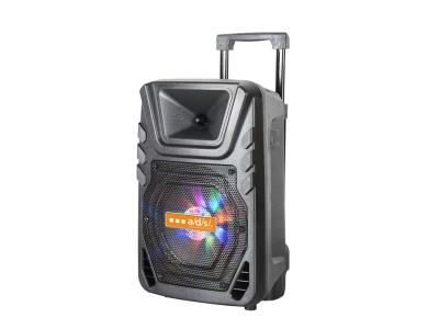 Import Trolley Speaker TW08BS from chinese wholesale supplier and manufacturer