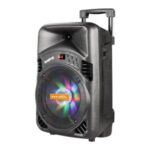 Import Trolley Speaker TX08BS from chinese wholesale supplier and manufacturer