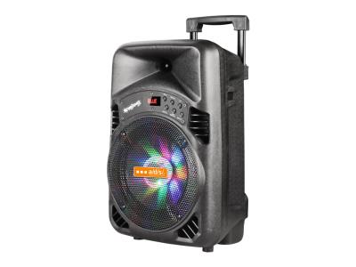 Import Trolley Speaker TX08BS from chinese wholesale supplier and manufacturer